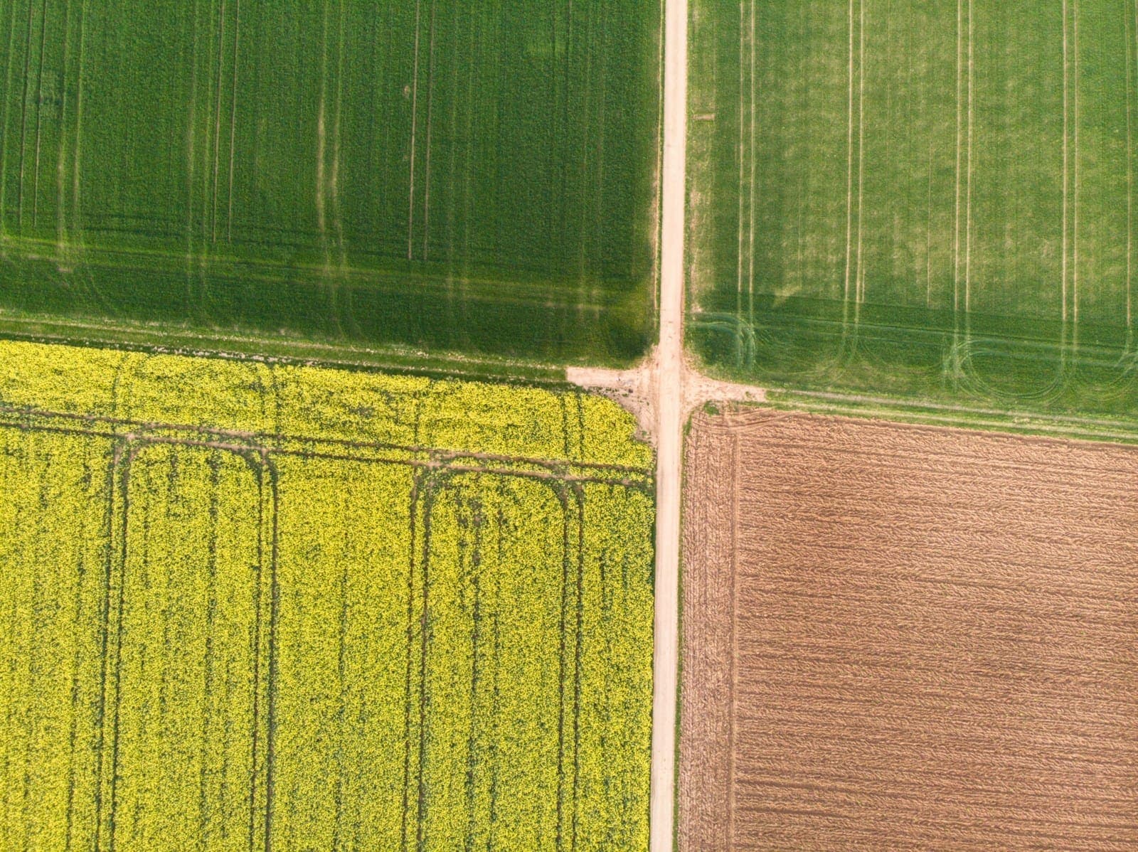 Aerial view of green farm crop fields