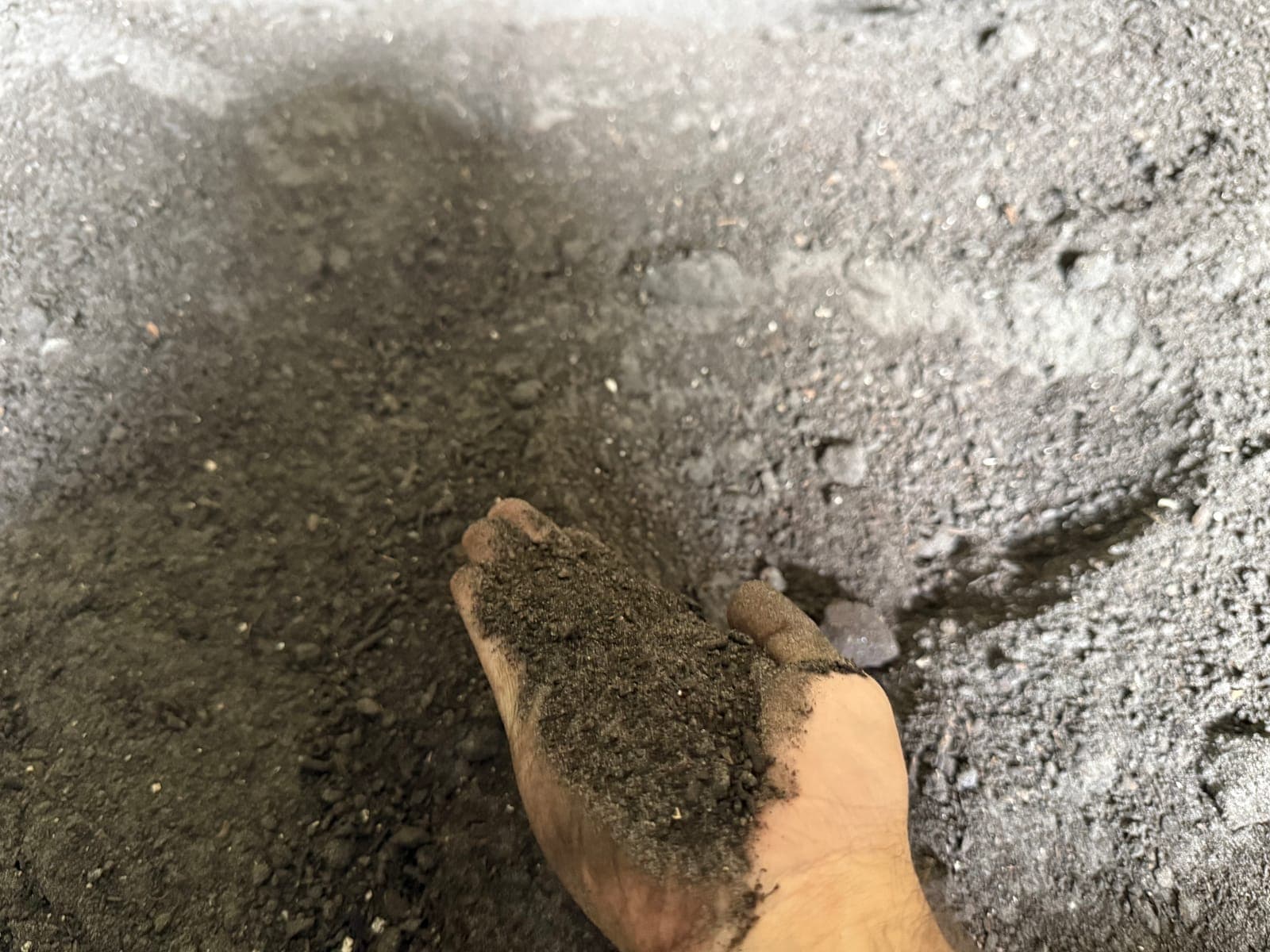A handful of fine, screened compost